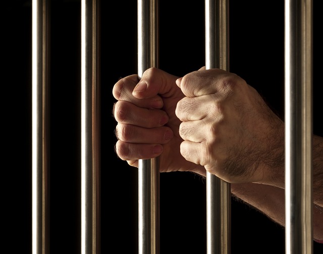 Arvada’s Premier Choice: Save Time & Money with Expert Business Litigation